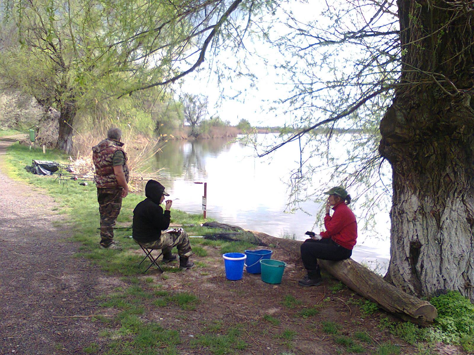 Tancabesti - fotografie0034.jpg